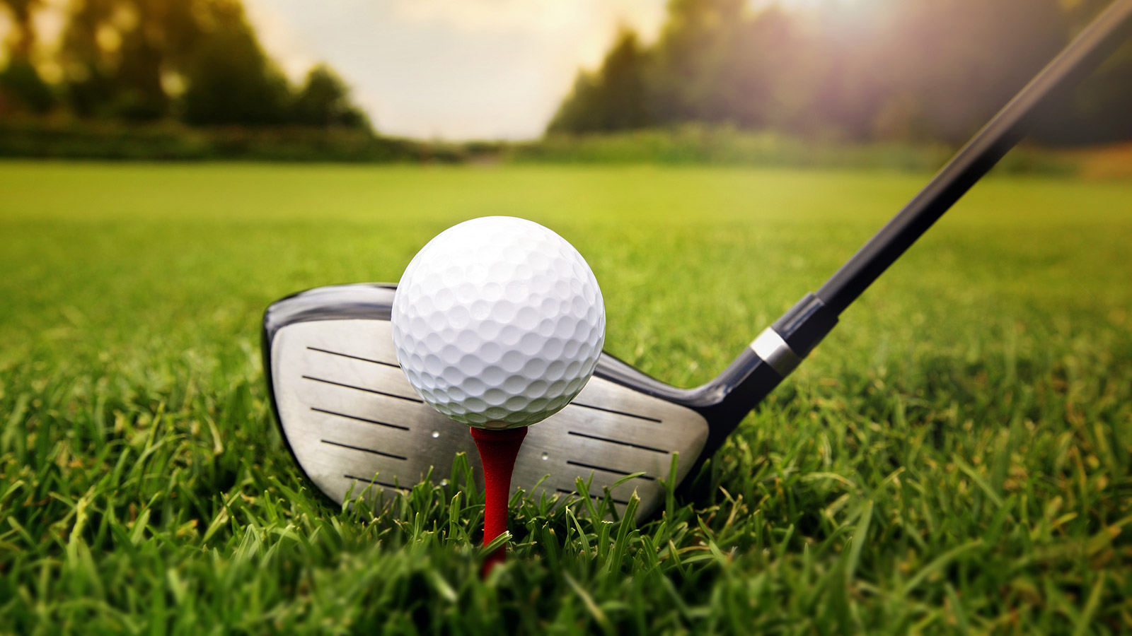 Zanu PF, MDC-T connive to sell Harare golf courses