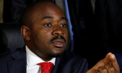 Chamisa chides CCC MPs for getting US$40 000 loans